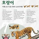 극동사랑의원 투어코리아