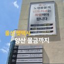 대현동물병원 이미지