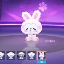 달곰펫 네이버블로그