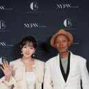 갈채라이브 스타데일리뉴스 