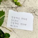 바닷가에서 ~안다성 이미지