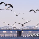 한강가족농장 이미지