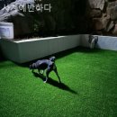 사계에반하다3 이미지