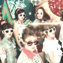 롤리폴리 이미지