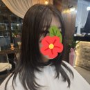 황금헤어 - 중구 | 황금헤어