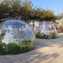 장자호수생태공원 이미지