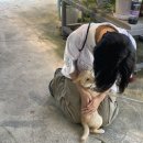 상무낚시터 이미지