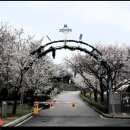 배방읍 고속철역길 이미지