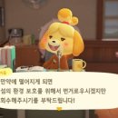 섬결정 이미지