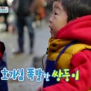 쌍둥이 수산 이미지