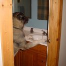 그대가세탁소 이미지