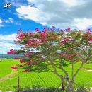 카페 남원역 이미지