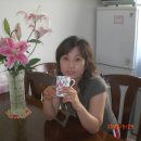 조양민박 이미지