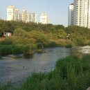 대원빌라 앞 이미지