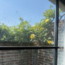 MONO : Brooklyn] 자유로운 브루클린 라이프스타일 감성이 이어지는 루프탑공간 : 브루클린 회의실 이야기