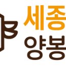 세종양봉백화점 네이버블로그