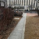 판교로319번길 | 판교 분위기 카페 <엘핀> 크리스마스트리 맛집이네?!? 내돈내산 솔직후기