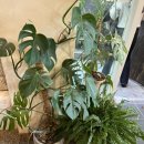 수우정보 이미지