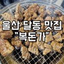 복돈가 - 남구 신정로54번길 21 | 복돈가
