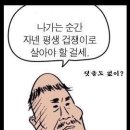 자이언트모터스 이미지