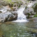 동점초등학교 이미지