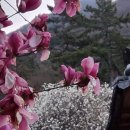 포근한방문요양센터 이미지