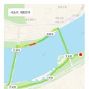 고속터미널역 8-1번 8-2번 중간 이미지