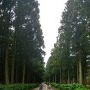 절물자연휴양림 이미지