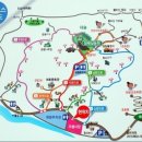 3월14일 토요일 광양 백운산 (1,222.2m) 매봉, 쫒비산, 매화축제장 이미지