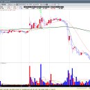 태림약품 이미지