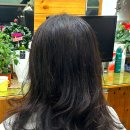 행운헤어샵 - 부평구 | 행운헤어샵