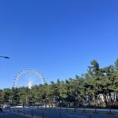 피짜라짜 | [피짜라짜] 내돈내산 속초 화덕피자 맛집 후기! 조개피자가 존맛