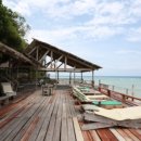 타이디앤 이미지