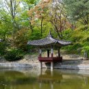 애련정 이미지