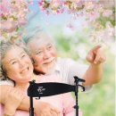 꽃길복지용구 이미지