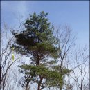 입암1리 이미지