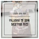 독한고양이 | [고양이사료/내돈내산후기] 카니러브 캣 생육 닭고기와 토끼