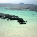 홍조바다 이미지