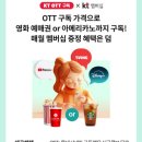 오티티Y 네이버블로그