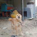 용소골농장 이미지