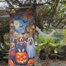 문경수예리오토캠핑장 이미지