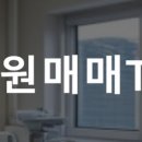 강남공인중개사사무소주식회사 이미지