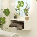 비르헤어 이미지