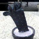 1305. 성북구청 네이버블로그
