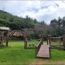 양을산산림욕장 네이버블로그