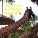 (주)가장 | 푸꾸옥 빈펄 사파리 입장권 할인 주트램 기린식당 내돈내산 후기