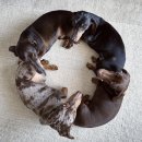 모닝하버 펜션 이미지