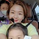 진화장품 - 광산구 산정로6번길 21-1 | 진화장품