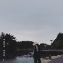 다모리네 이미지