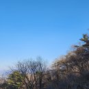 아랫배알미길 이미지